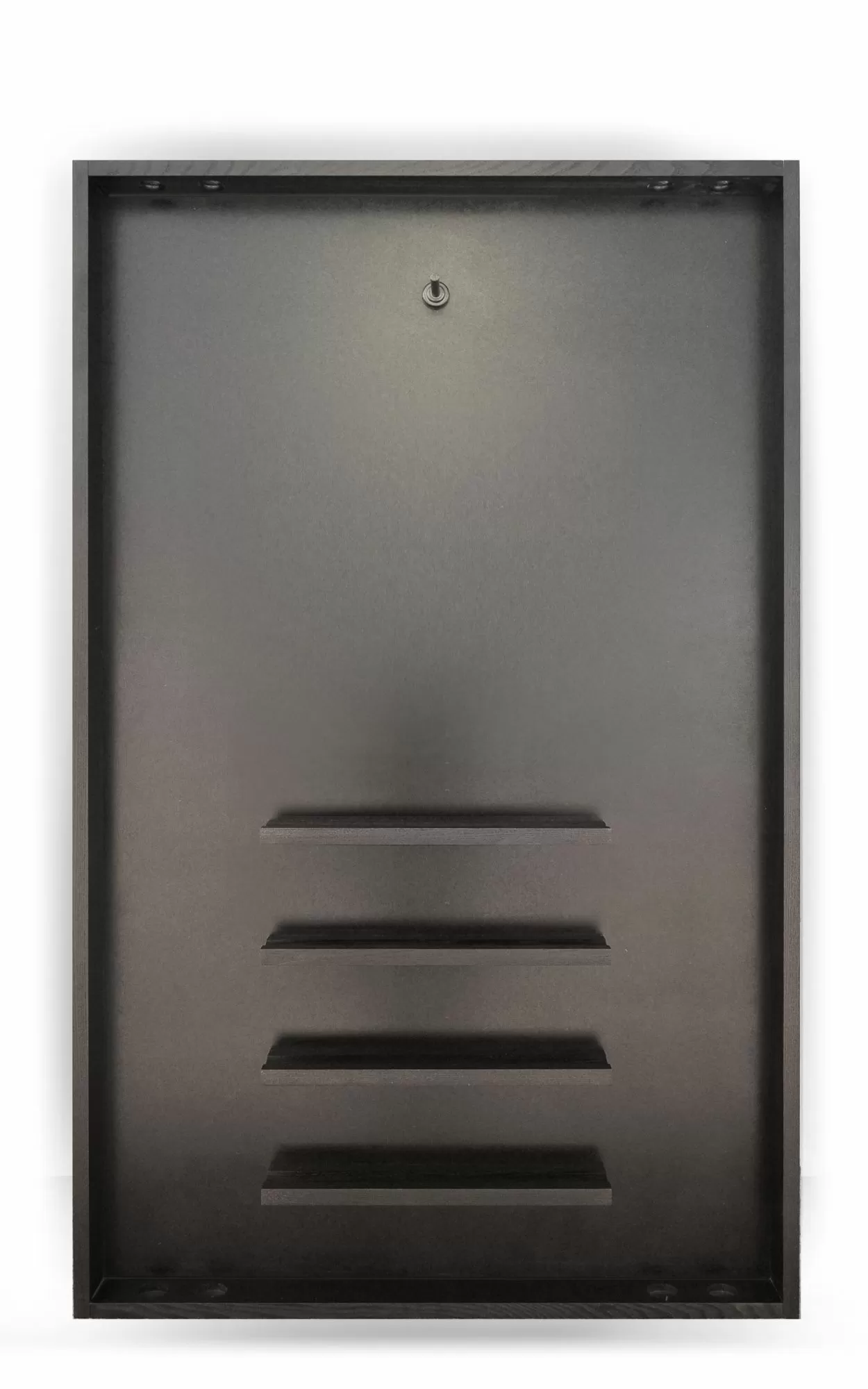 Киевница К-20 ясень